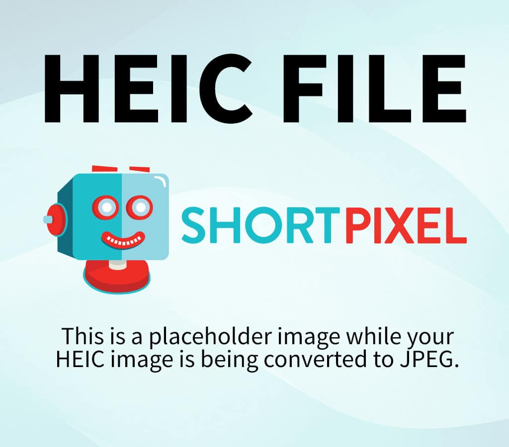 Weekly Planning Pages